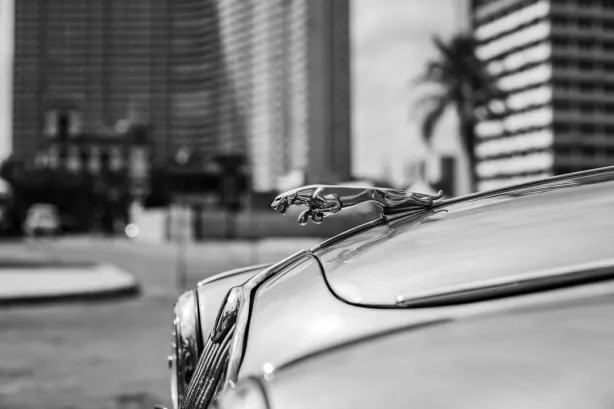 بيتوبيت كازينو تطبيق أندرويد/آي أو إس